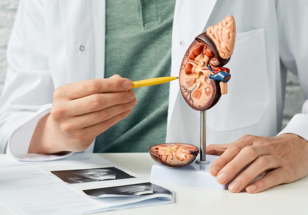 Nowoczesne zabiegi urologiczne - co warto wiedzieć przed wizytą w klinice?